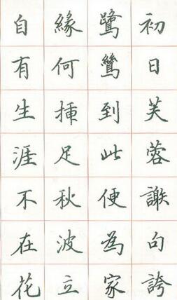 硬筆筆鋒 練字