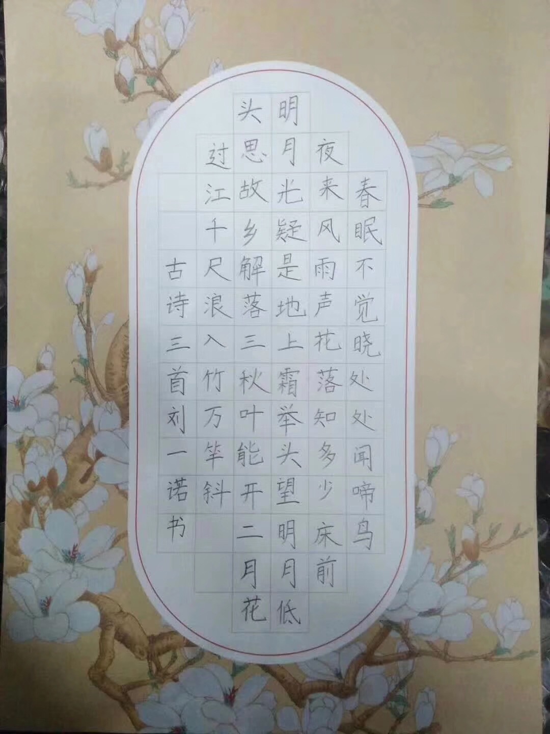 鋒格練字學(xué)員作品