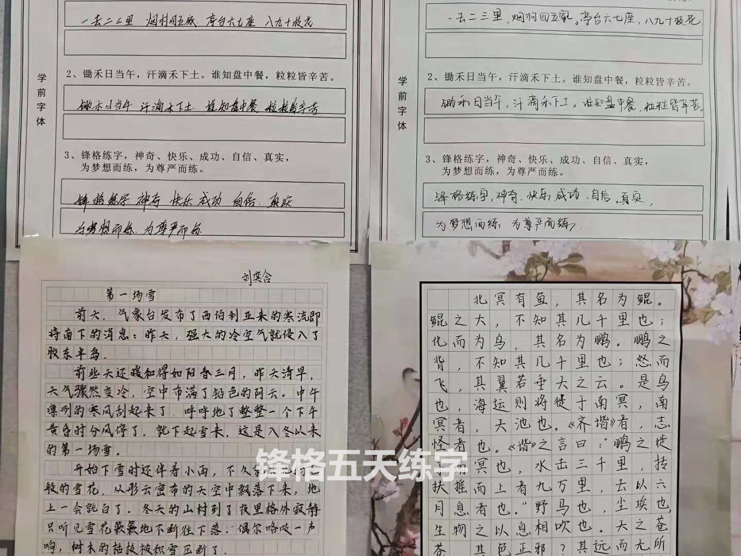 鋒格硬筆練字教育學(xué)員學(xué)前學(xué)后效果