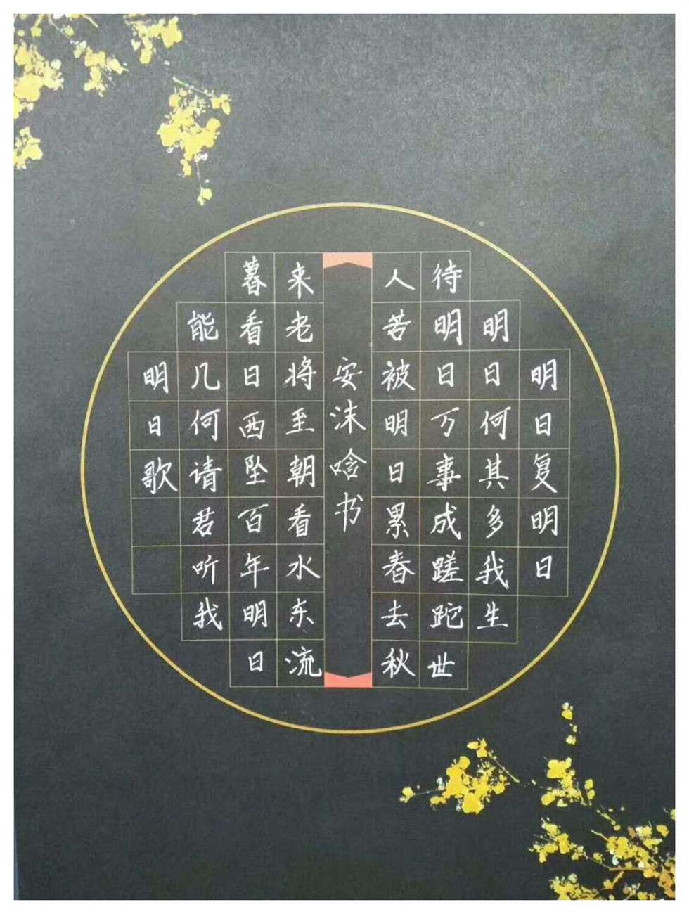 鋒格硬筆練字學(xué)生作品欣賞
