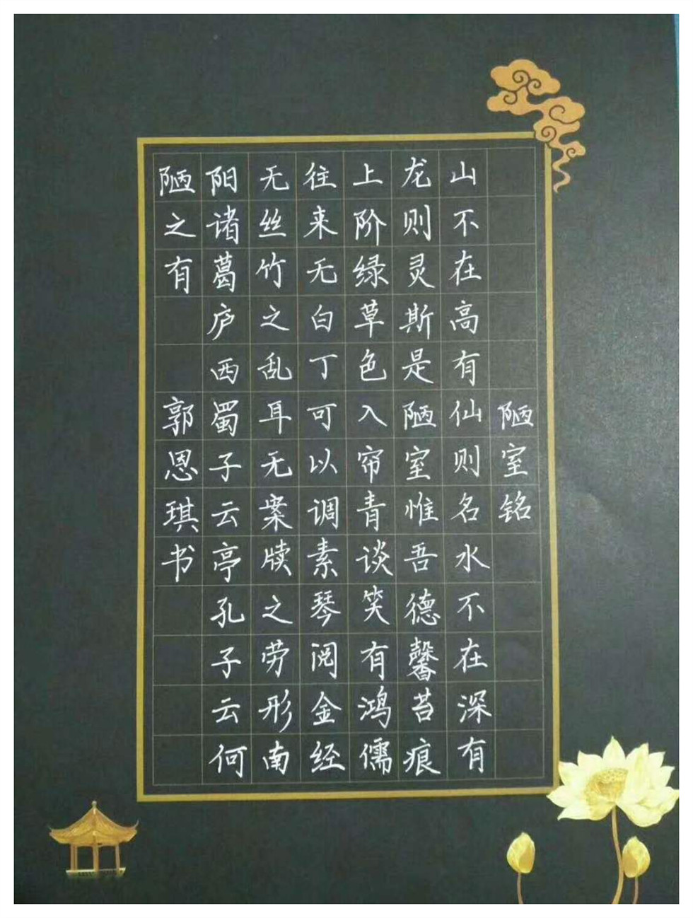鋒格硬筆練字學(xué)生作品欣賞