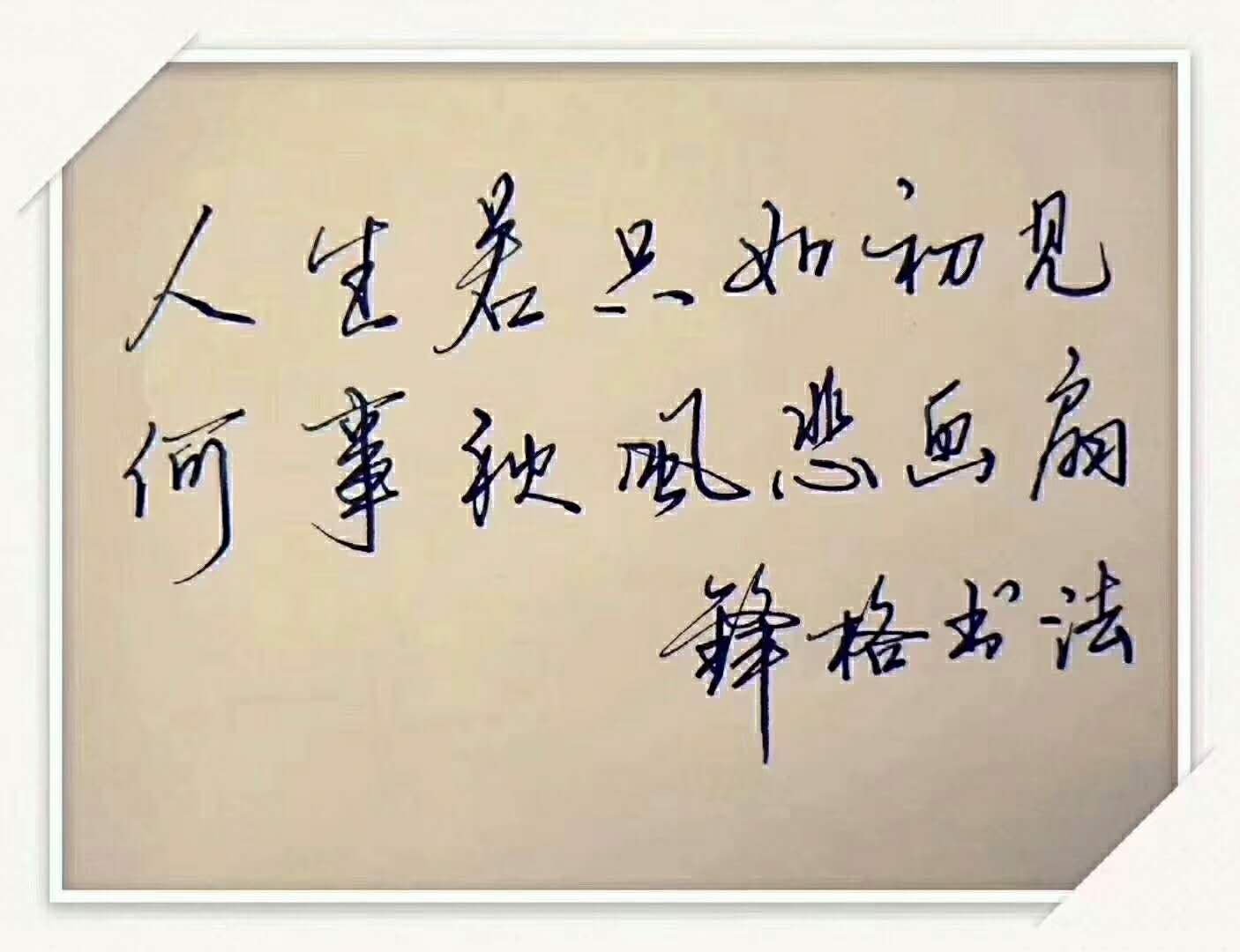 鋒格練字