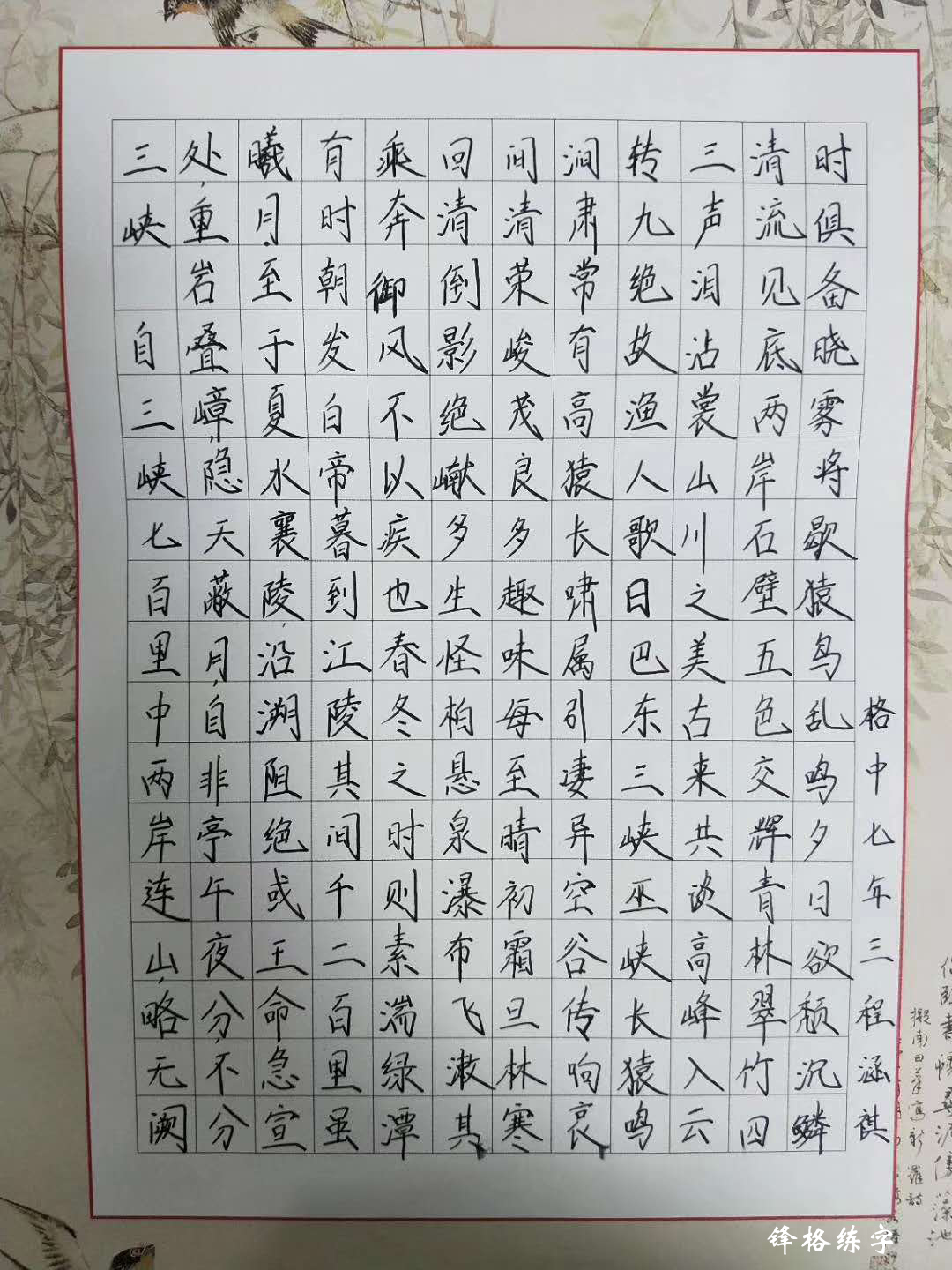 鋒格練字學(xué)員程涵祺書法作品