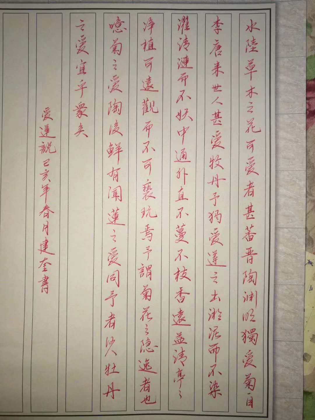行楷作品鋒格練字