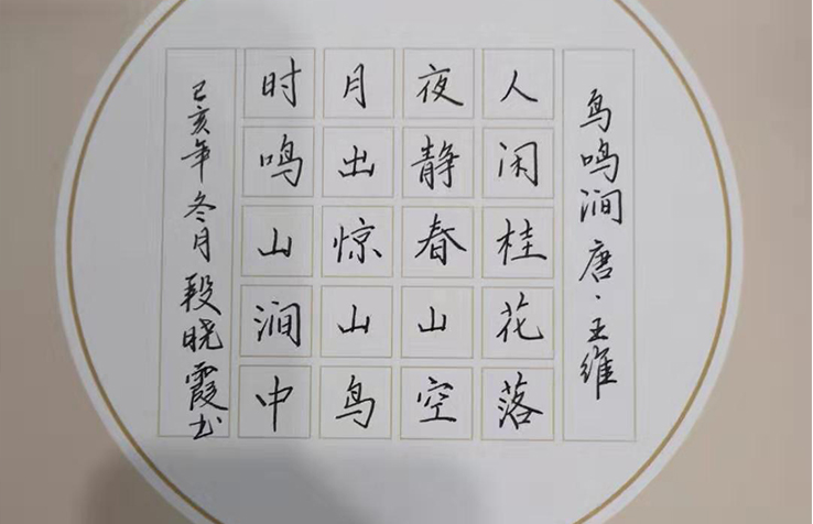 鋼筆楷書(shū)欣賞·鋒格練字段曉霞作品《鳥(niǎo)鳴澗》