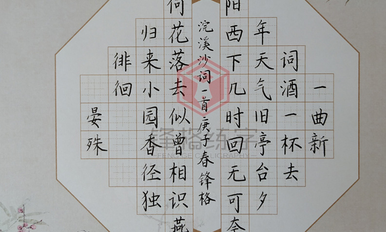 硬筆書(shū)法《浣溪沙》作品賞析