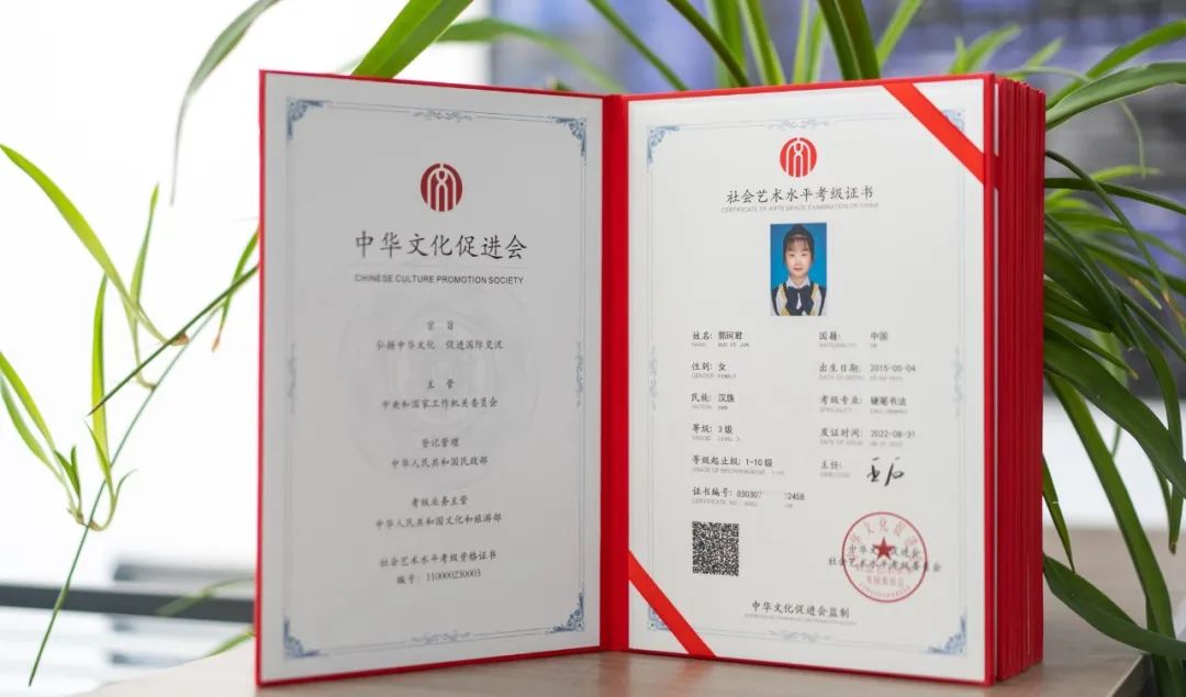 社會藝術等級考試