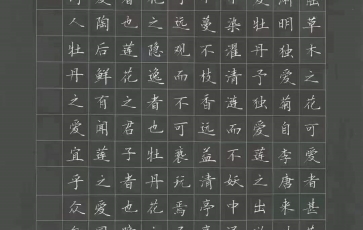 書法加盟-鋒格練字學員作品展示